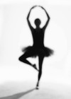 Picture for song 'Dancing with Destiny' by artist 'Jacki Wheeler'