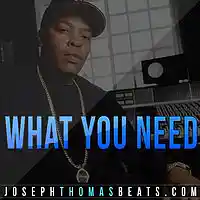 Picture for song 'What You Need ' by artist 'Joseph Thomas Beats'