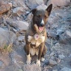 Picture for song 'Bacardi' by artist 'J Serna Productions'