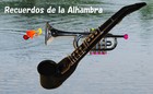 Picture for song 'Recuerdos de la Alhambra by Casio DH-500(Trumpet)' by artist 'Kazushi Shiga Flute'
