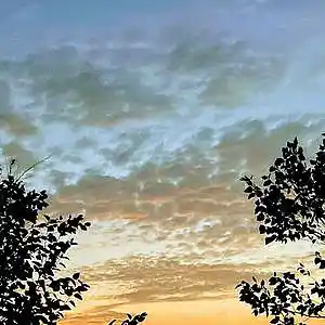 Picture for song 'West of Houston' by artist 'Larry O'