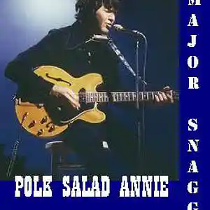 Picture for song 'Polk Salad Annie' by artist 'Major Snagg'