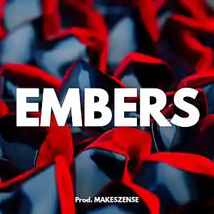 Picture for song 'Embers' by artist 'MAKESZENSE'