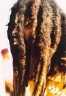 Picture for song 'Malus Beat - Young Dub ** free dl **' by artist 'Malus Beat (France)'