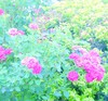 Picture for song 'Story #3' by artist 'Michael Solomont Piano Improvisations'