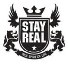 Picture for song 'Stay real' by artist 'mitzabeats'