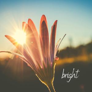 Picture for song 'Bright' by artist 'Netuno Soundtracks'