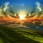 Picture for song 'What Heaven Feels Like *Chilled Song* Poppy' by artist 'NuGradeLabs'