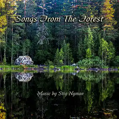 Picture for song 'The Fairy Of The Woodland Lake' by artist 'NYMAN (Swe)'