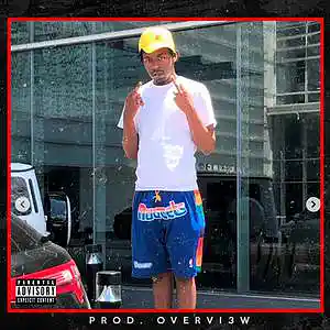 Picture for song 'MOBSTER' by artist 'OVERVI3W'