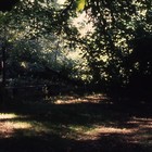Picture for song 'Shady Grove' by artist 'Price and Suffet'