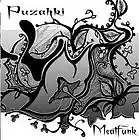 Picture for song '74 Pins in Your Eyes' by artist 'puzahki'
