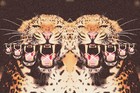 Picture for song 'KINGS RANSOM (FREE DL)' by artist 'Rhino Anthony'