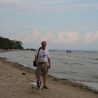 Picture for song 'Love is Everywhere' by artist 'Robert W J Taylor'