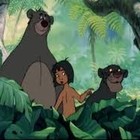 Picture for song 'Jungle - |Free Download|' by artist 'Saha Productions'
