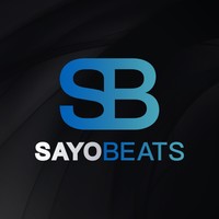 Picture for song ' all hunnids FREE DL *BUY 1 Get 3 FREE*' by artist 'sayo beats'