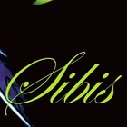 Picture for song 'Esnuestracancion-Love You Like A Love Song(DJ ONE)' by artist 'SIBIS'