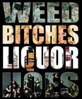 Picture for song 'Weed , Liquor & b*** es' by artist 'SUPER NOVAJ BEATS'