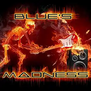 Picture for song 'Blues Madness' by artist 'Swampman And The Machine'