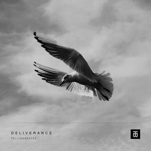 Picture for song 'Deliverance w/ Hook' by artist 'TELLINGBEATZZ'
