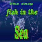 Picture for song 'The only fish in the sea' by artist 'The Old Grey Wolf Ltd Co'