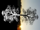 Picture for song 'the other side of the same' by artist 'TigerShadow'