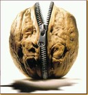 Picture for song 'Nutshell (Alice in Chains cover)' by artist 'Time To Talk'