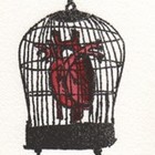 Picture for song ''Heart in a Cage' Greeny & Dave Berry' by artist 'Tim Green'