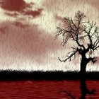 Picture for song 'Bloody Rain' by artist 'Trab Production'