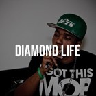 Picture for song 'Diamond Life' by artist 'TrakkBlazers'