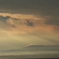 Picture for song 'Hard Times Coming Soon Too' by artist 'Viking Blues'