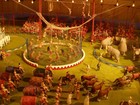 Picture for song 'All Part of the Show' by artist 'Wade Farlowe'