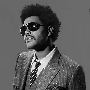 Picture for song 'RETRO SEX *Weeknd x Chris Brown*' by artist 'XXXMAKEITBOUNCE'