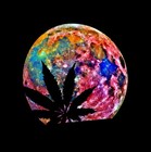 Picture for song 'To The Moon Prod by (Young Heim)' by artist 'Young Heim'