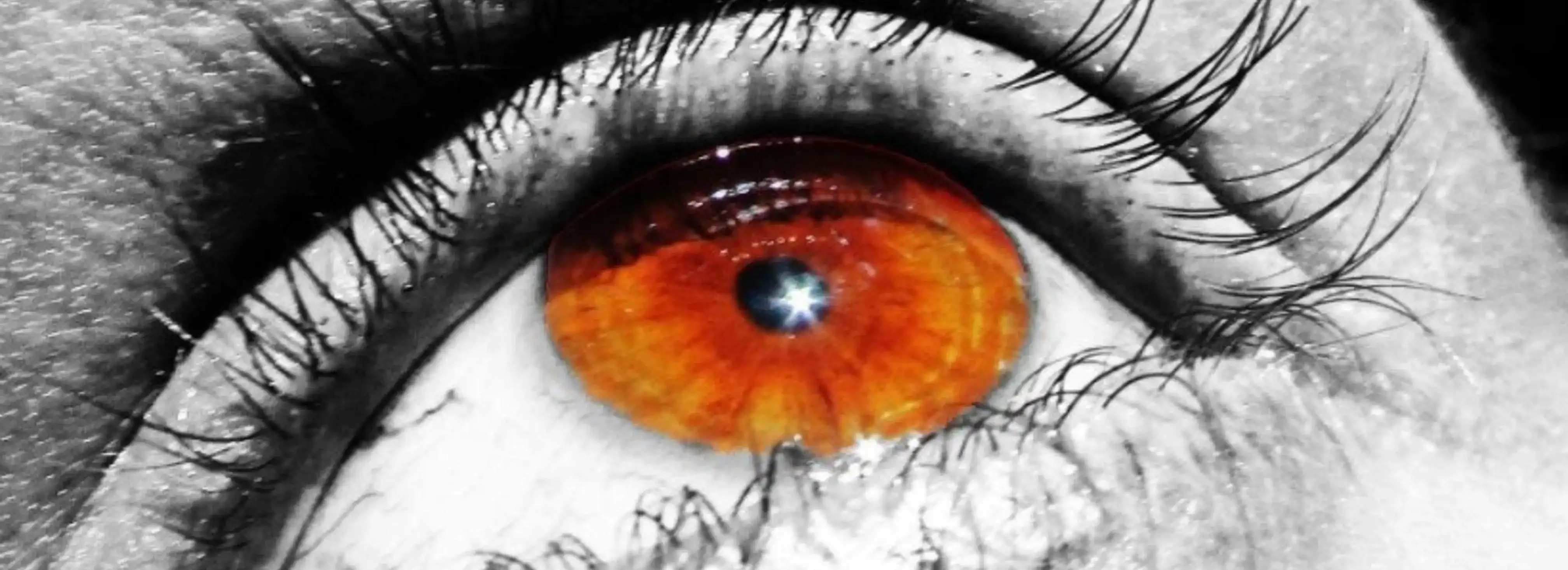 cover pic