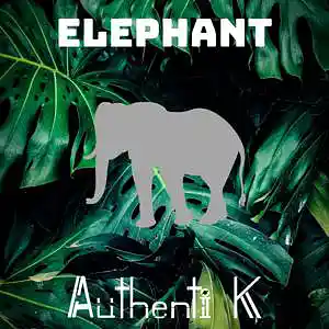 Picture for song 'Elephant (Doja Cat x Iggy Azalea Type Beat)' by artist 'Authenti K Beatmaker'