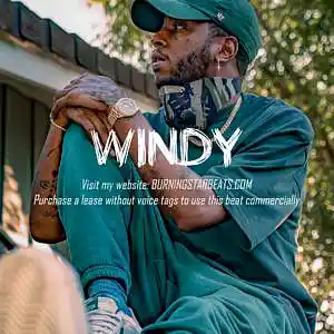 Picture for song 'WINDY (6lack x Dark x Pop x Trap x Rap Type Beat)' by artist 'BURNING STAR'