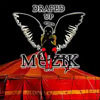 Picture for song 'stupid' by artist 'DrapedUpMuzik'