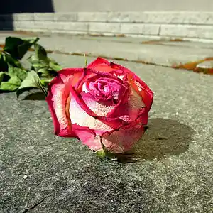 Picture for song '#Bad Enough' by artist 'J. Merritt'