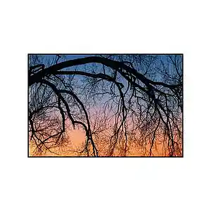 Picture for song 'My Mind' by artist 'krs.kv'