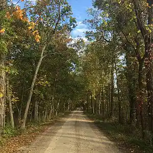 Picture for song 'On an Old Dirt Road' by artist 'Letha Allen'