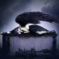 Picture for song 'Broken Angel' by artist 'Raven's Project'