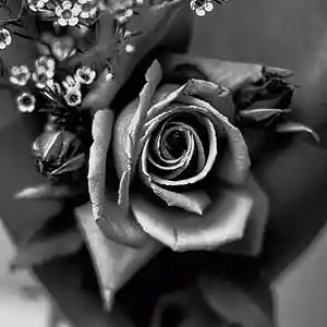 Picture for song 'Prod. @tomi_lago_ 95' by artist 'Tomas Lago'