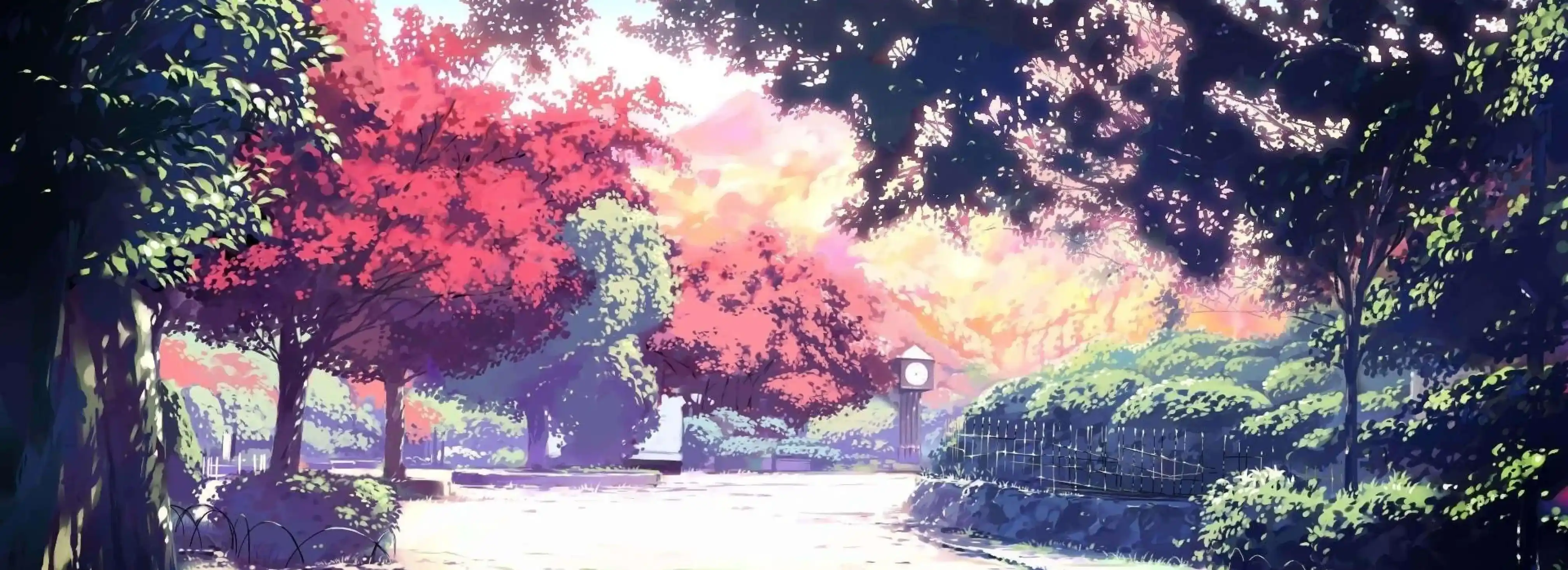 cover pic