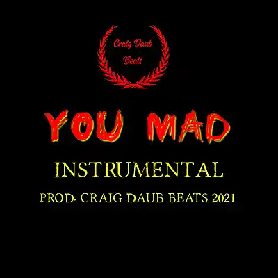 Picture for song 'You Mad 2021 Lil Wayne Type Beat 140bpm' by artist 'Craig Daub Beats'