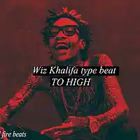 Picture for song 'to high (2/3/2016)' by artist 'fitful fire beats'