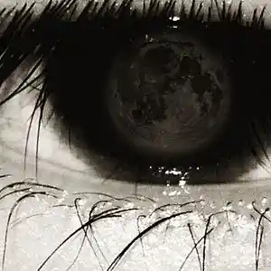 Song picture