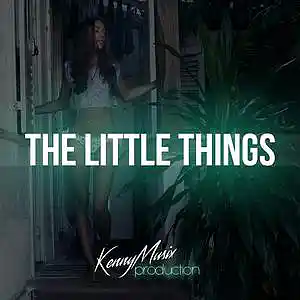 Picture for song 'The Little Things' by artist 'KenNYMusix'