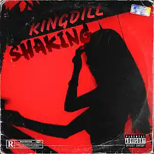 Picture for song 'SHAKIN' (P.T. 1) PARENTAL GUIDANCE' by artist 'King Dill'