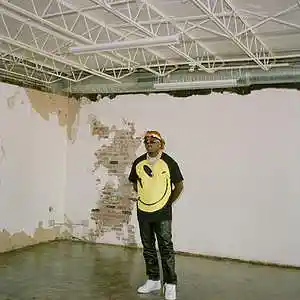 Picture for song 'chinatown' by artist 'King Malik'